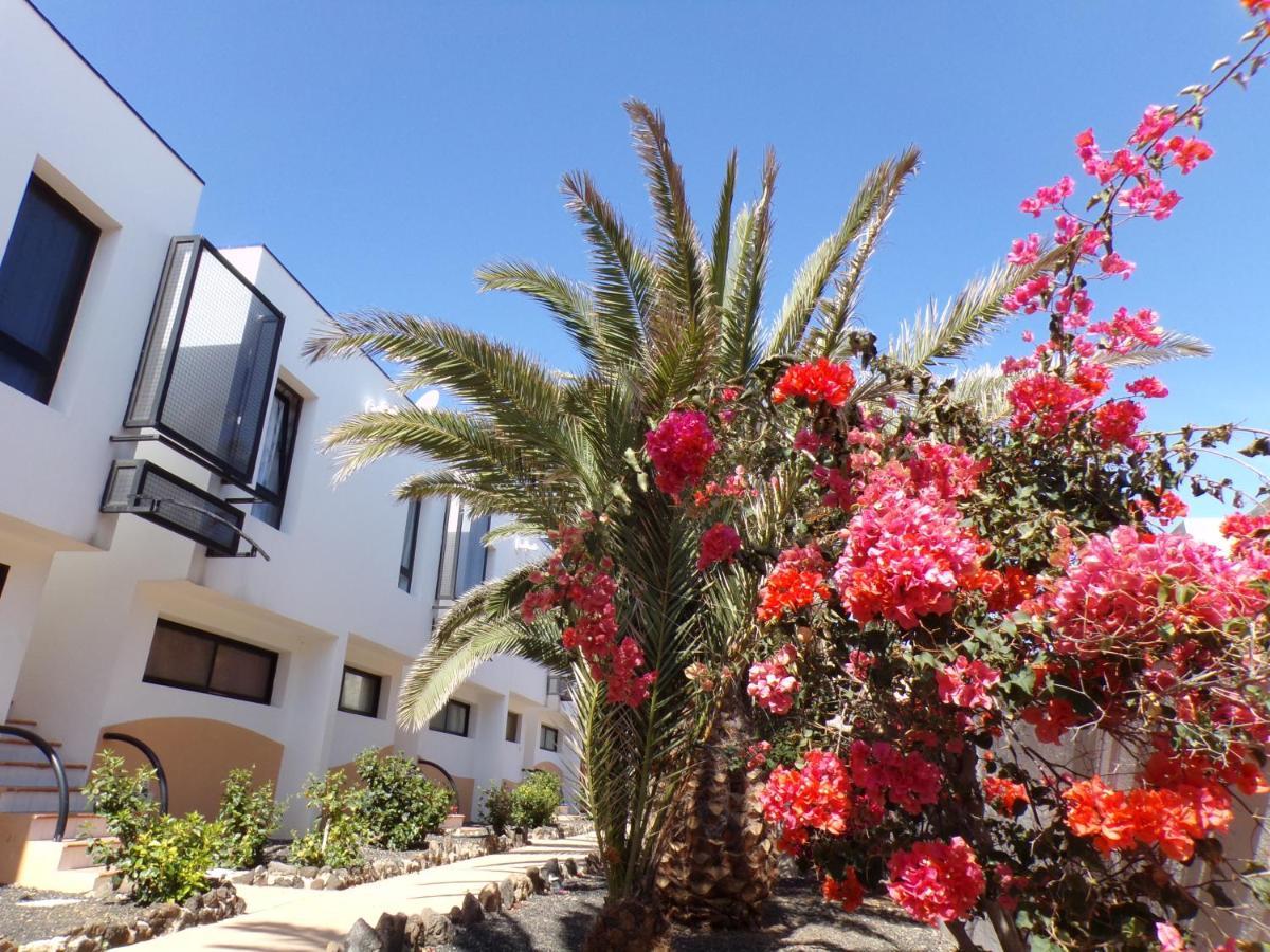 Amaya Ocean View Apartment Costa De Antigua Buitenkant foto